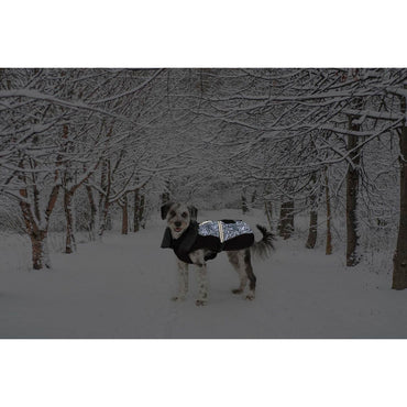 V5H466D8822CFE36BDA144DFD52B82CFE15R5332474P2