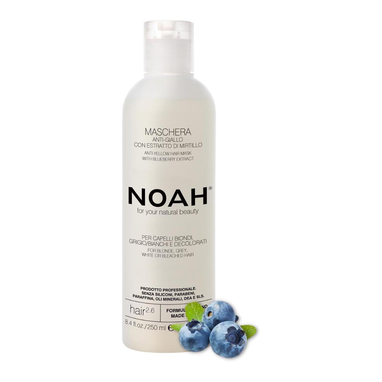 Noah Arandanos Anti-Amarillo Mascára Capilar 250Ml