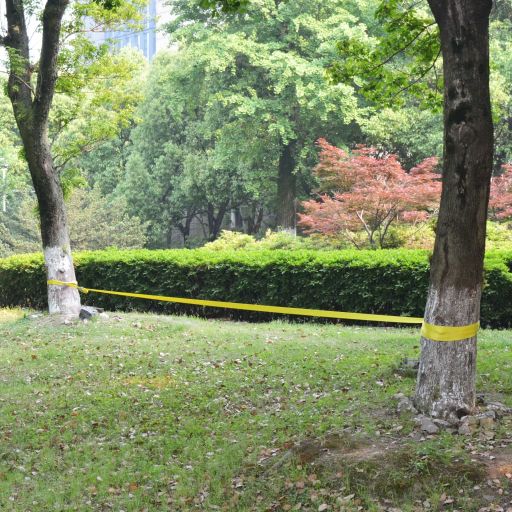 vidaXL Slackline 15 m x 50 mm 150 kg verde