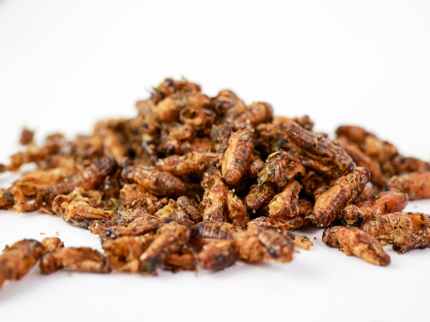GRILOS COM TOMILHO E PIMENTA