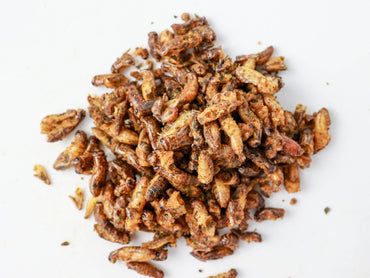 GRILOS COM TOMATE E OREGÃOS