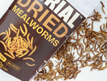 TENEBRIO MOLITOR 50G