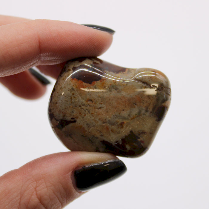 Bag of 6 Large African Tumble Stones - Jasper Nguni