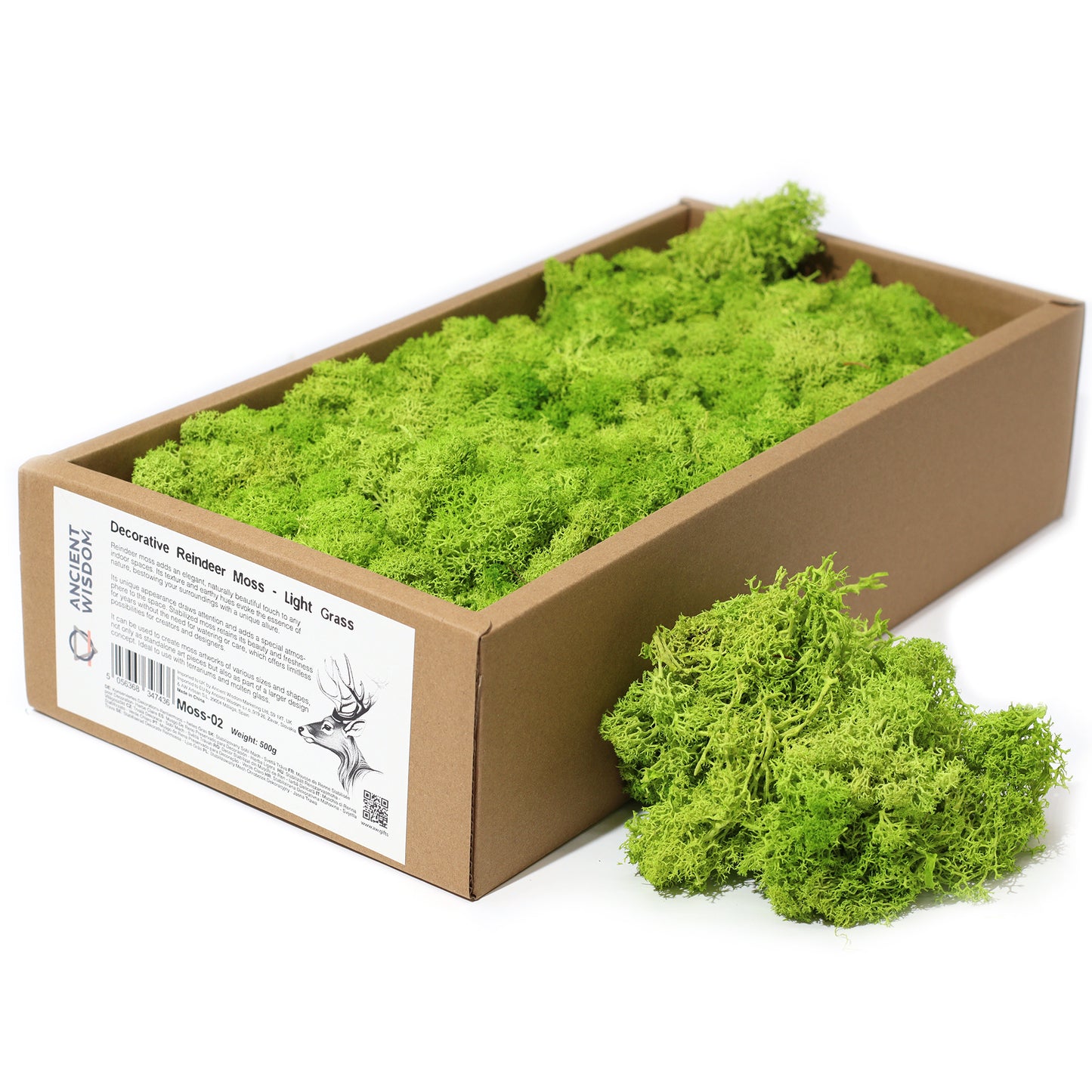 Quality Decoration Reindeer Moss - Light Grass - 635g Box