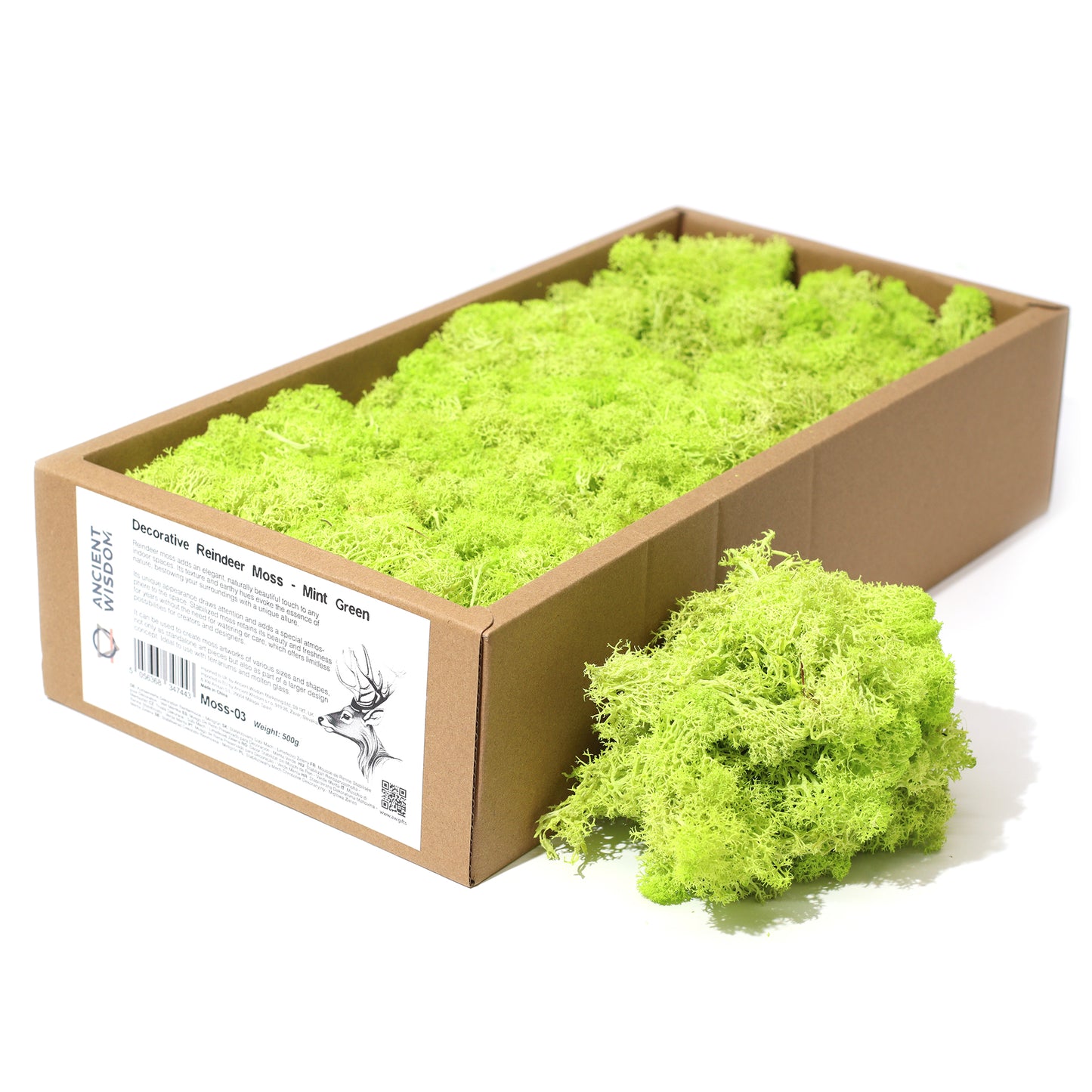 Quality Decoration Reindeer Moss - Mint Green - 635g Box