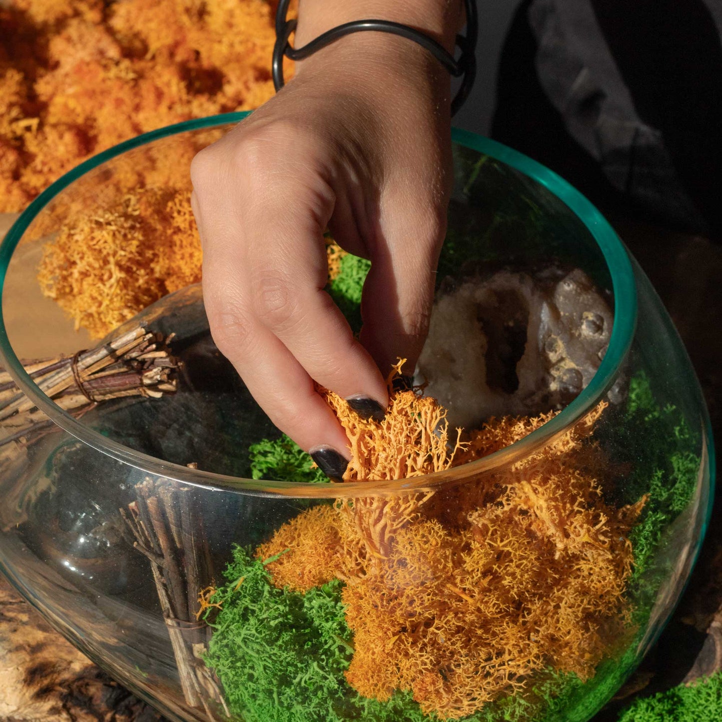 Quality Decoration Reindeer Moss - Black - 635g Box