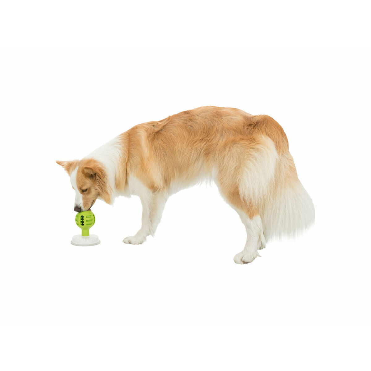 V7H71EA31E65B0699F2ADEA050ABCC70B0DR7452493P9