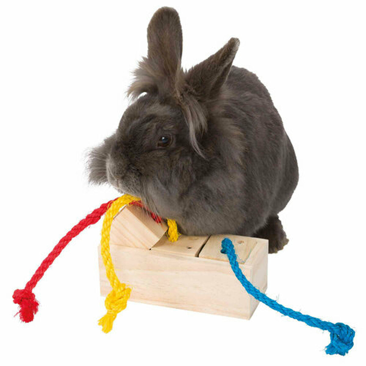 V6H7707AD03AE96EF5A672A8CC37FDB147DR7446686P6