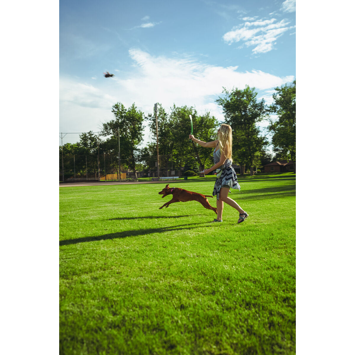 V5HBA1138760C29CBA0393E13926BD63E9AR5333753P6