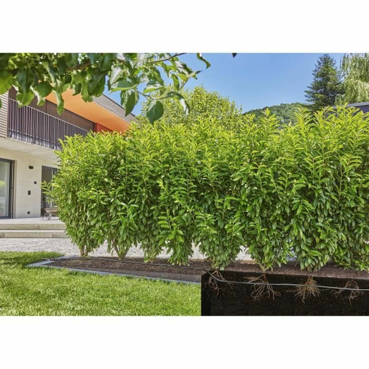 V6H1D002FFEB04DFE047FA5A5931D143466R3507985P4