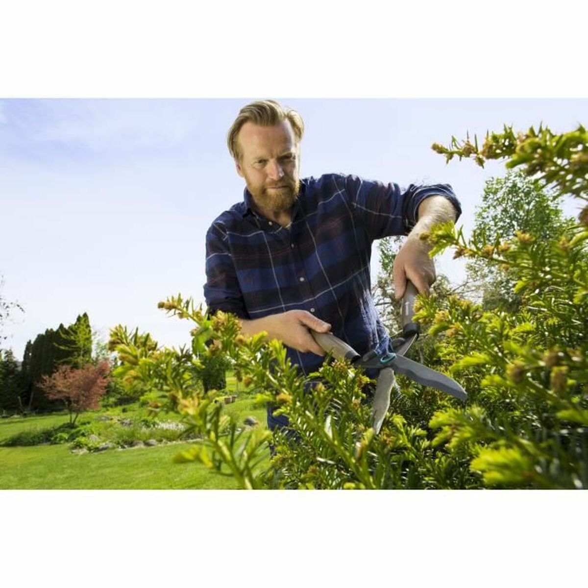 V5H62DA56CCDB1D49DA12EC9ED3A7057BA3R3871697P3