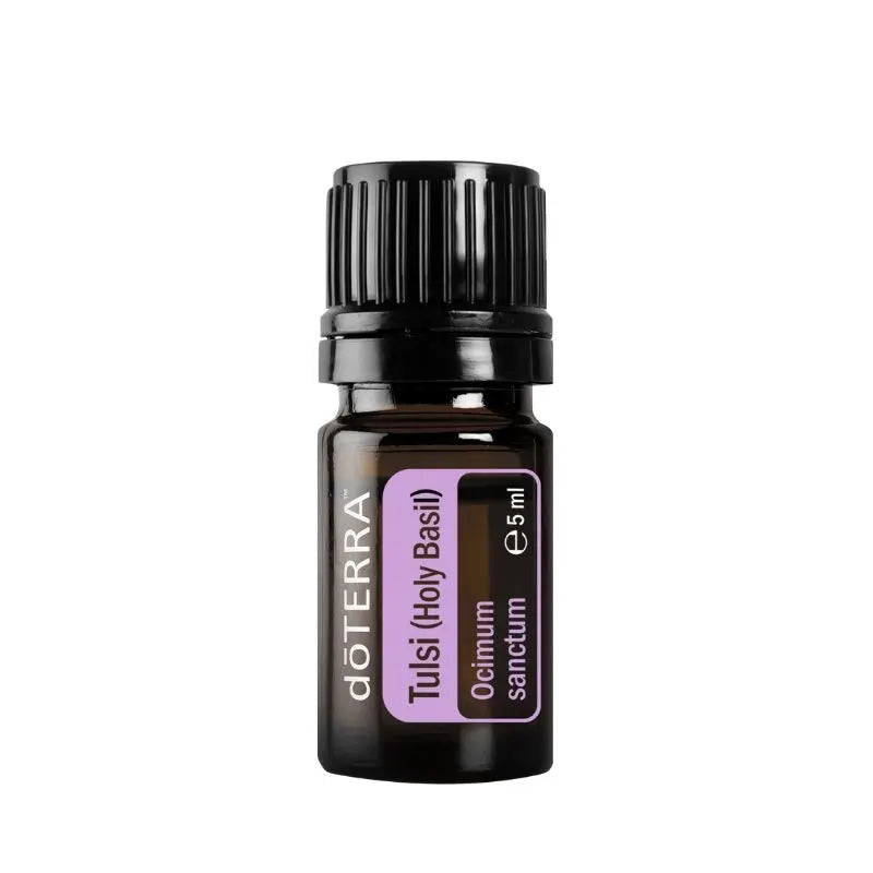 Óleo essencial de Tulsi (Manjericão sagrado) doTERRA - 5 ml