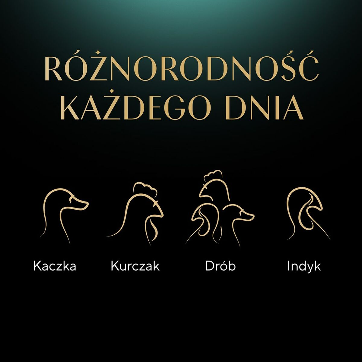 V6H4FDE9732AC2E7882634DA6D7D649D92AR6607672P9