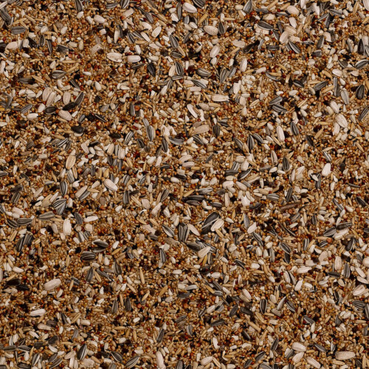 V6HCC00BD20819B33C045B31CC31BA1D26BR7444023P4