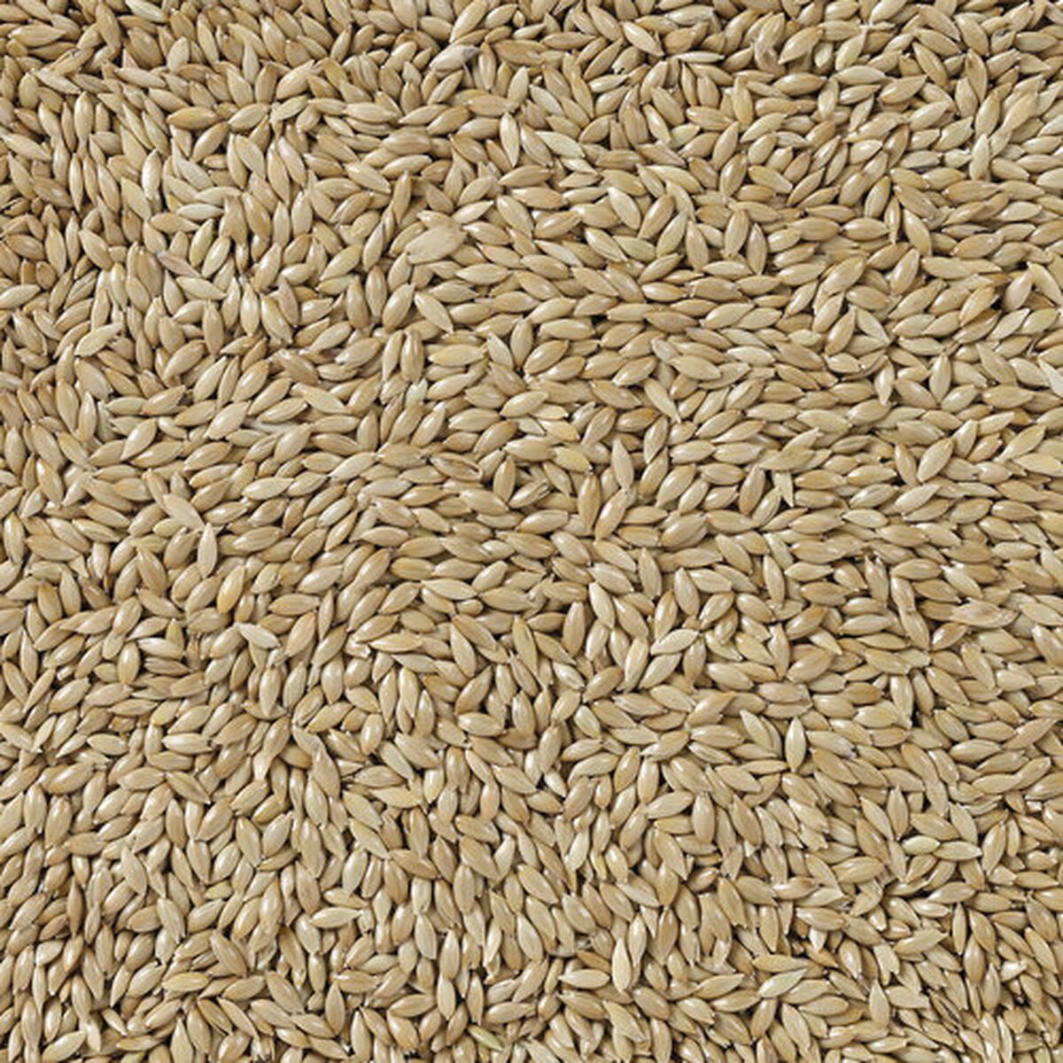 V5HEBE085DAFBADBCCF15D37C5BB3D27C73R7450073P4