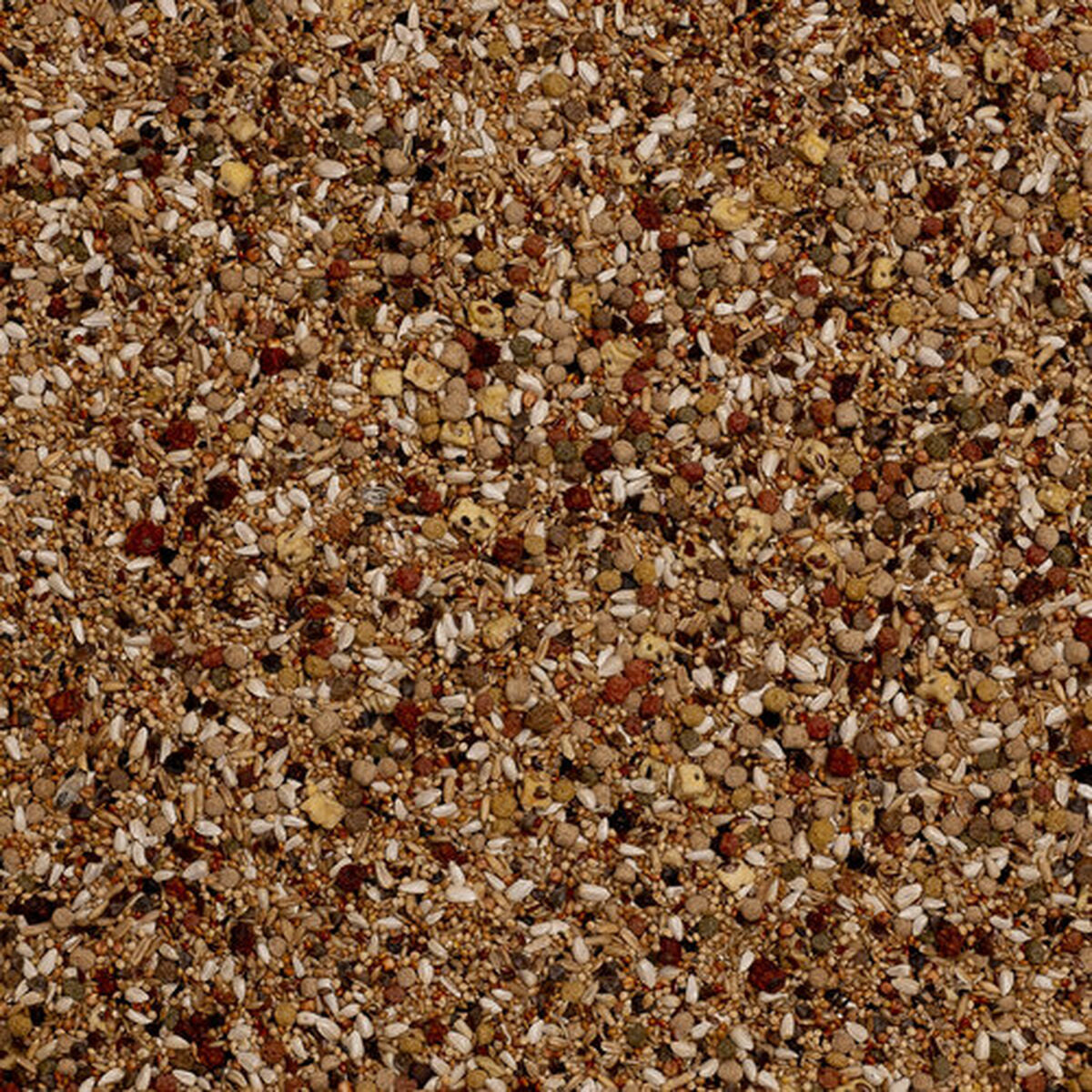 V6H83FC27E65CBE4A55F37EB2EB7AA3B69ER7450558P4