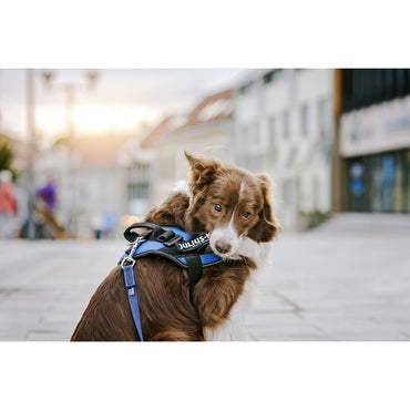 V6HBBD81D308D21147CD584823E5C7BA786R5333052P2