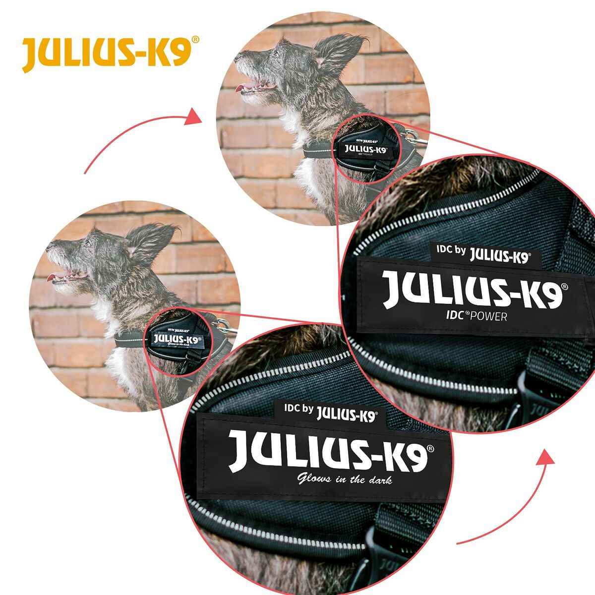Arnês para Cães Julius K9 IDC Vaqueiro L 1