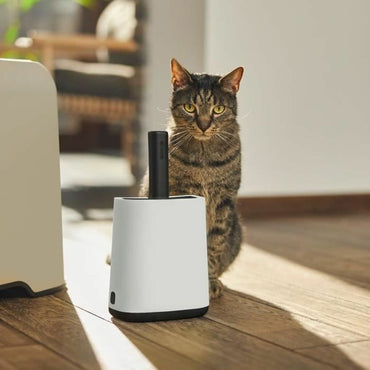 V4H8F9515A23FDDDEE9BEBE0C2C6F3D9200R5405260P2