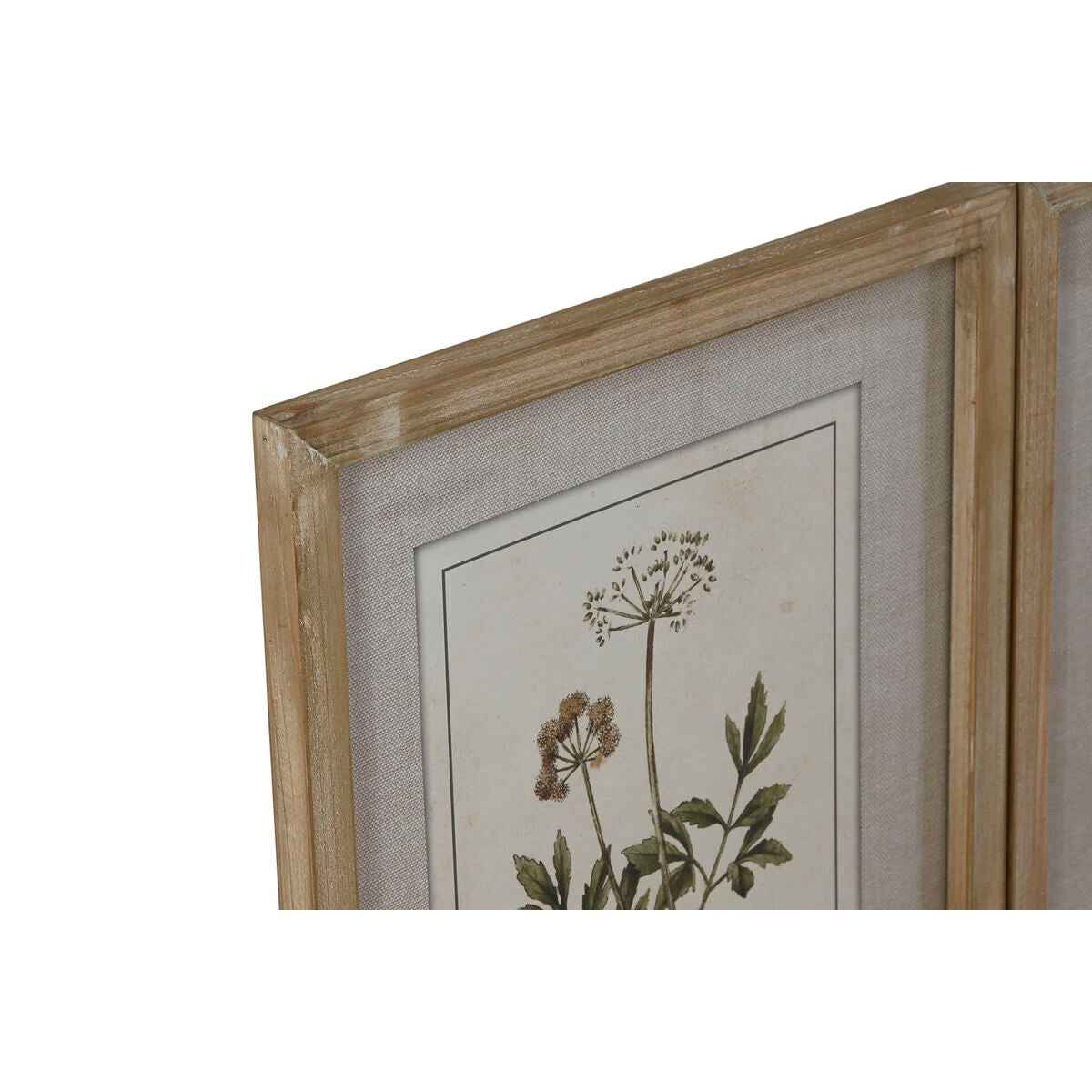Pintura Home ESPRIT Shabby Chic Plantas botânicas 30 x 2 x 40 cm (6 Unidades)