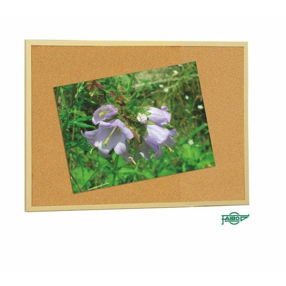 V4H60FA8FDEDF7B1D5C8F4FABE4CA624CD1R5293282P2