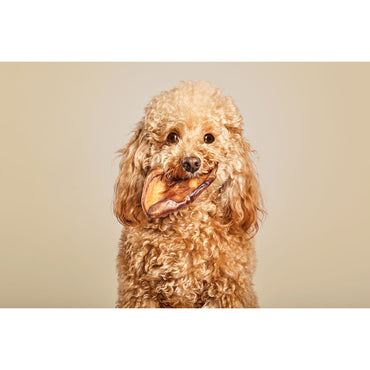 V9HC44D046A0F88FC248D1DA182F6852F9AR6578024P2