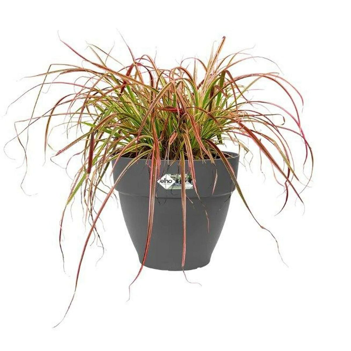 V6H9E412823EDFDE72298847AC404C4E0FER4008050P2