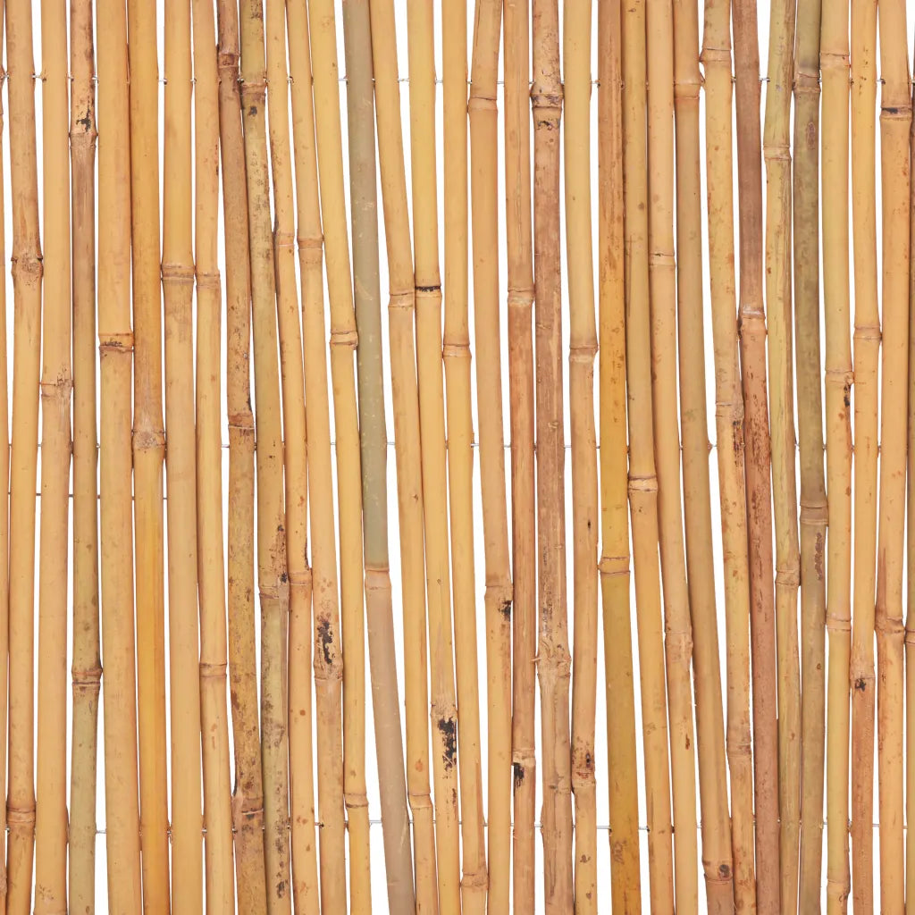 Cerca de bambu 500x30 cm