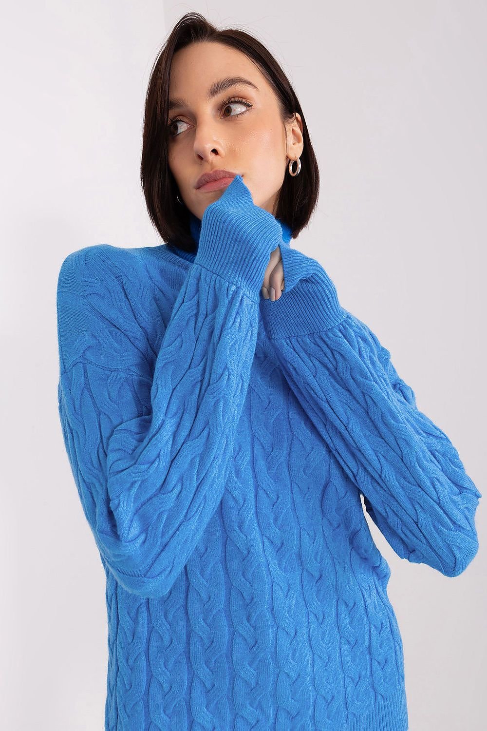 Turtleneck model 188299