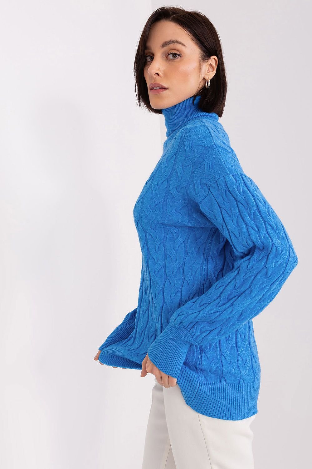 Turtleneck model 188299