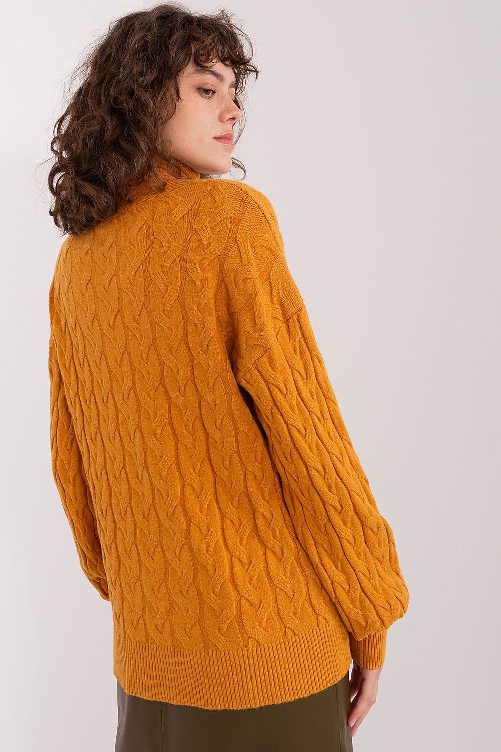 Turtleneck model 188311
