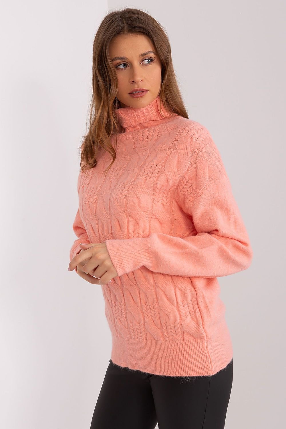 Turtleneck model 189890