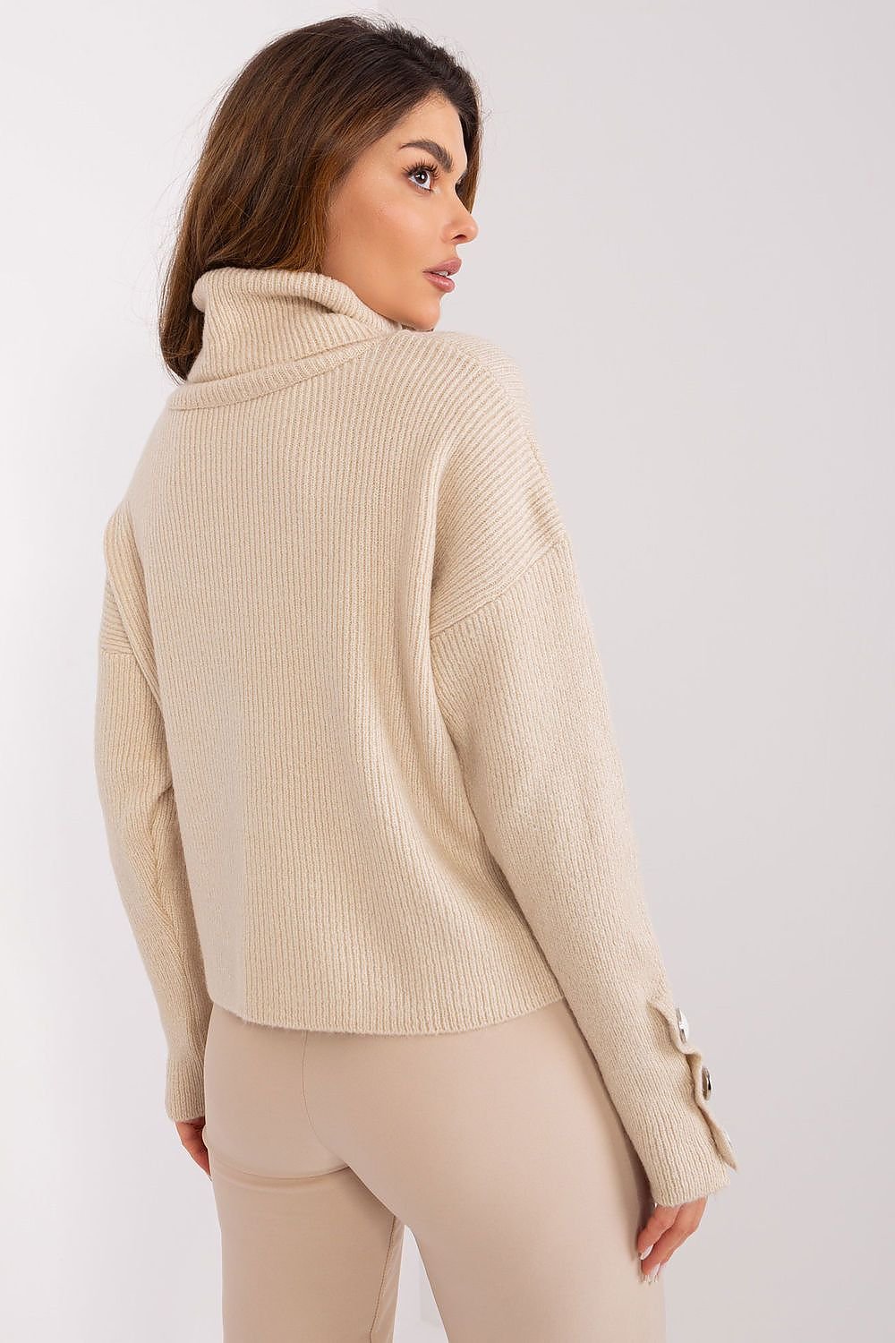Turtleneck model 190222