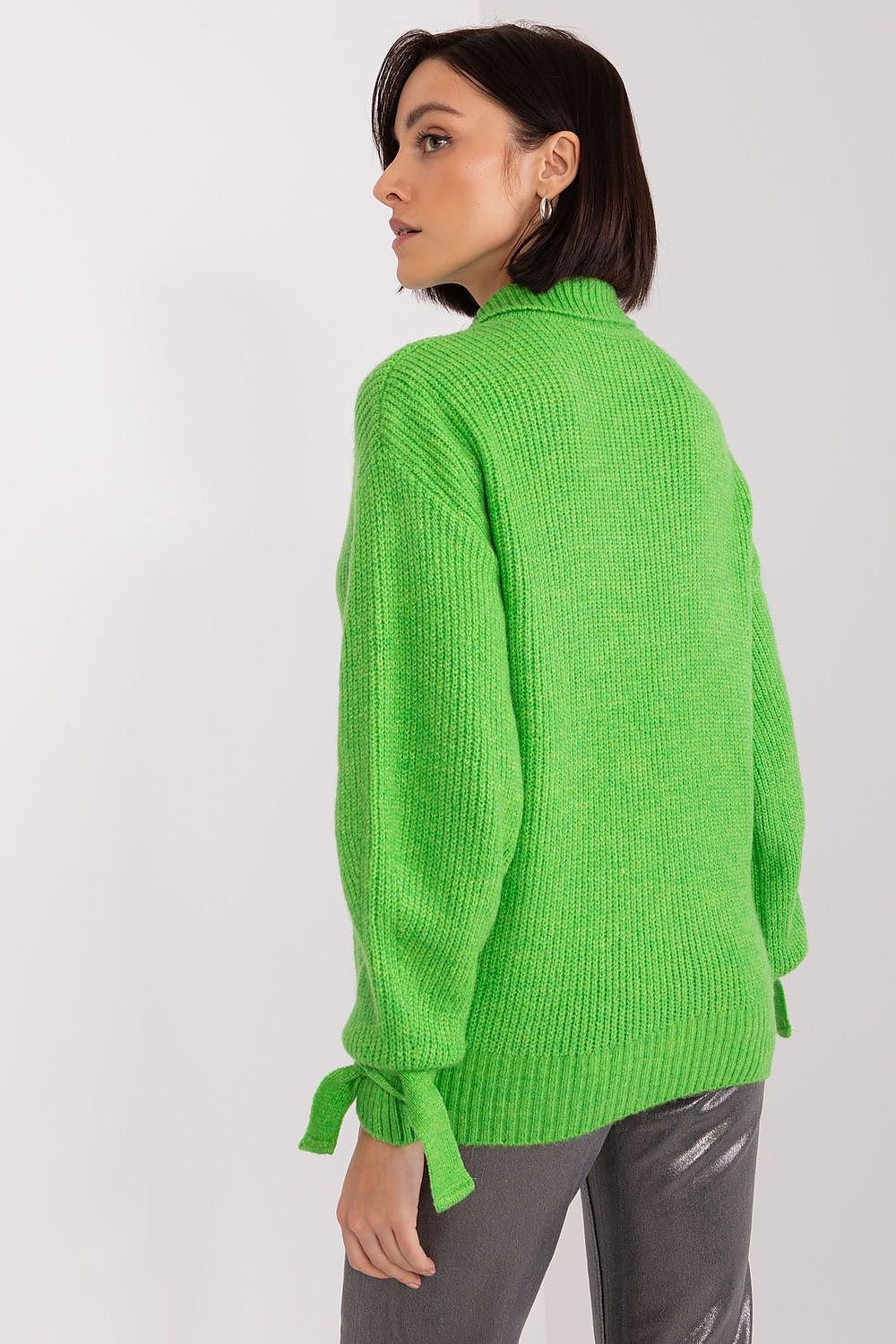 Jumper model 190228