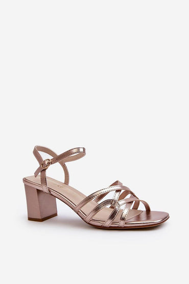 Heel sandals model 195745