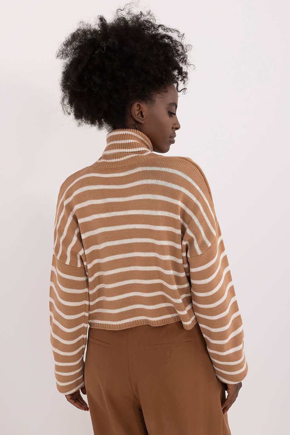 Turtleneck model 199109