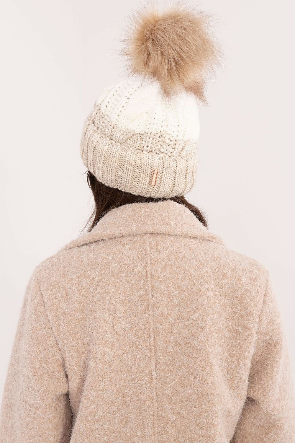 Cap model 201412