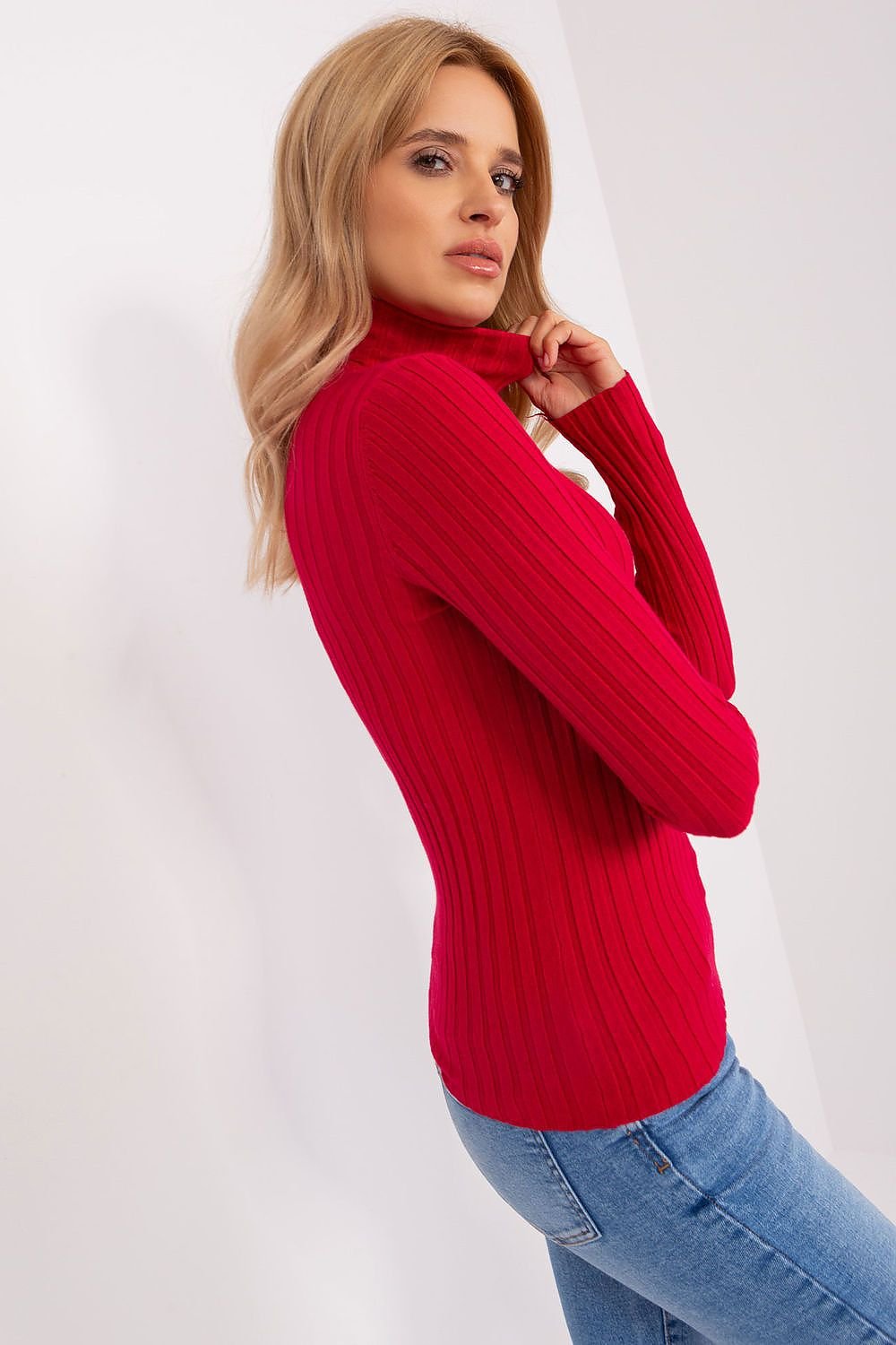 Turtleneck model 203015