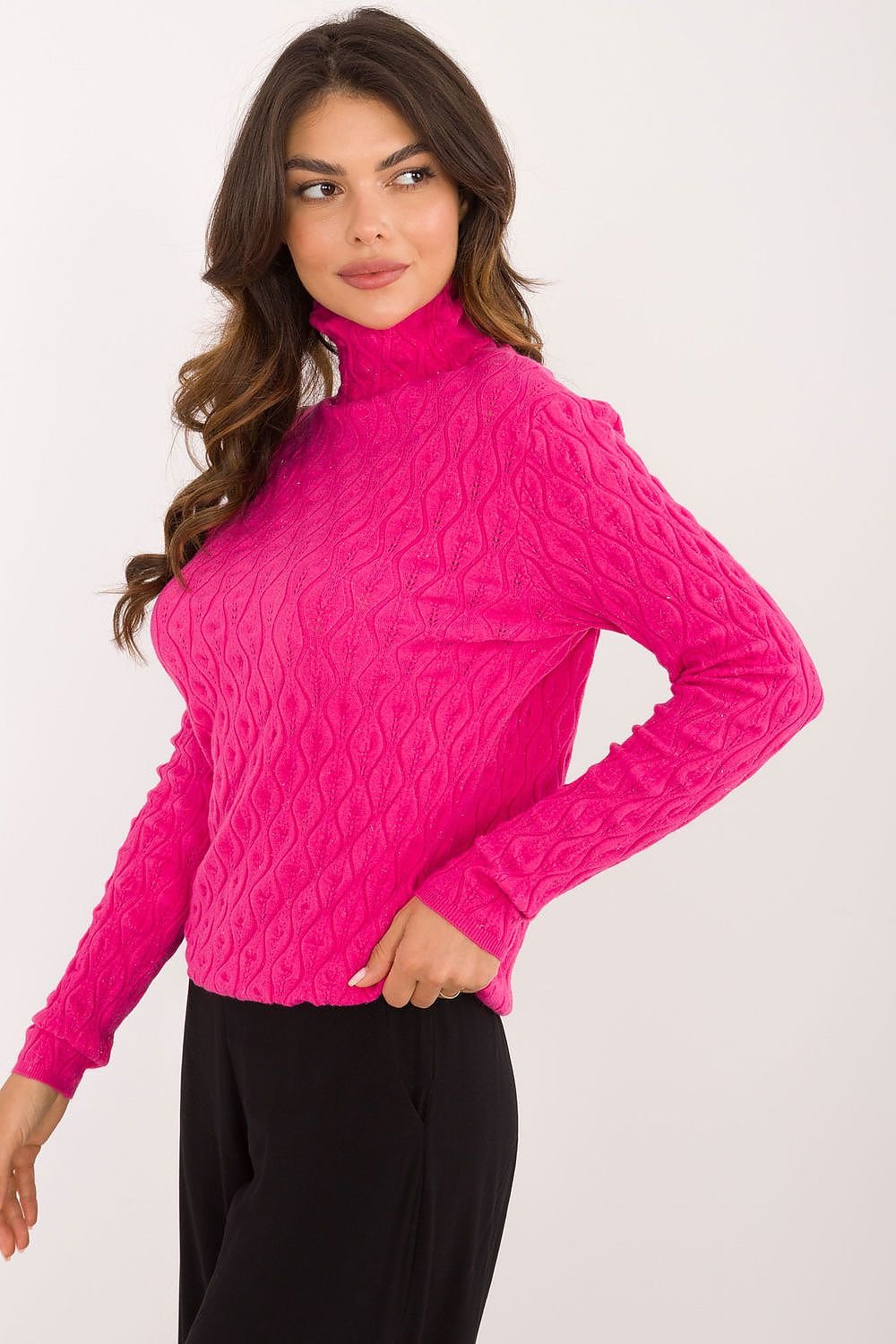 Turtleneck model 203190
