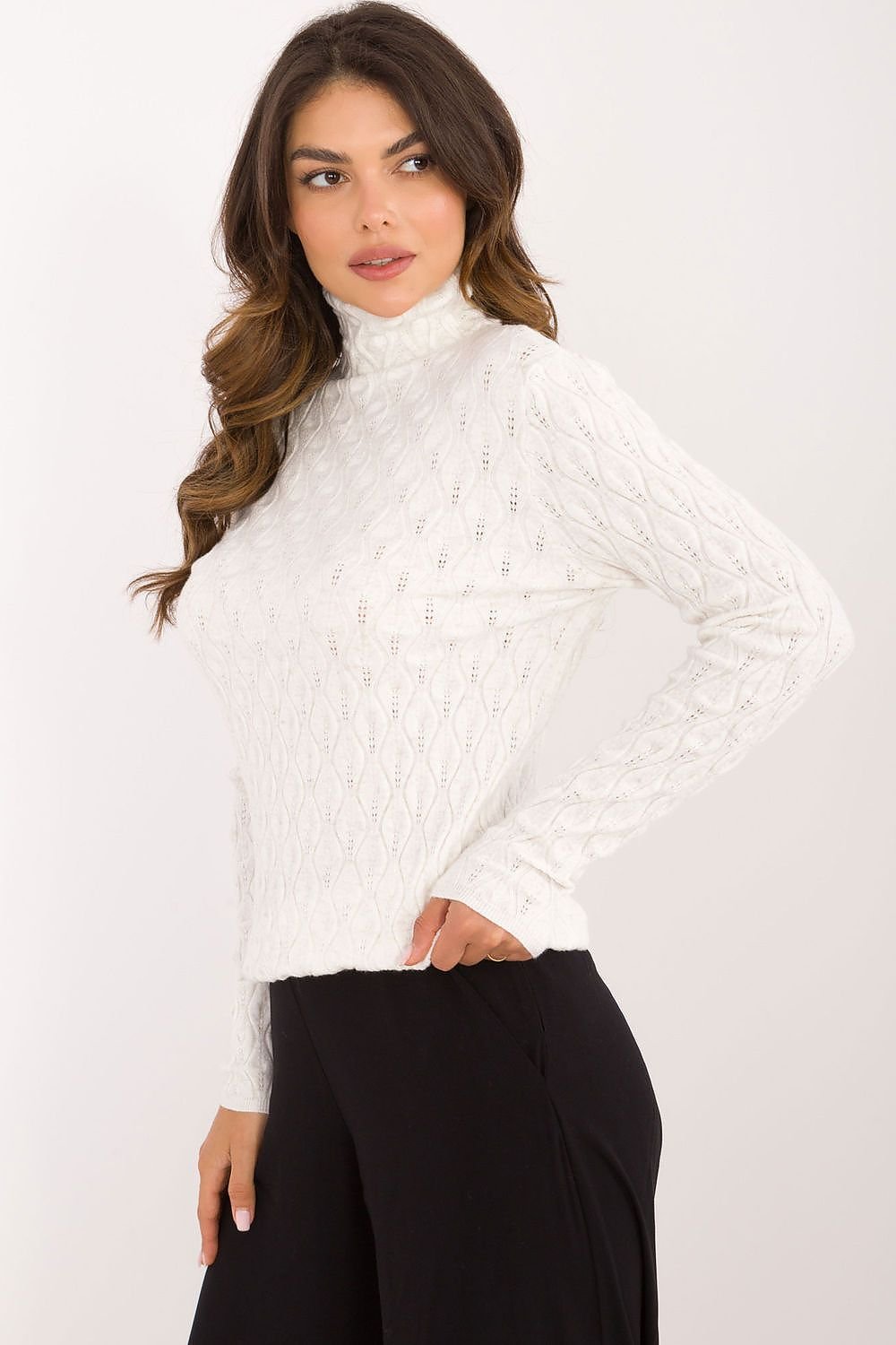 Turtleneck model 203191