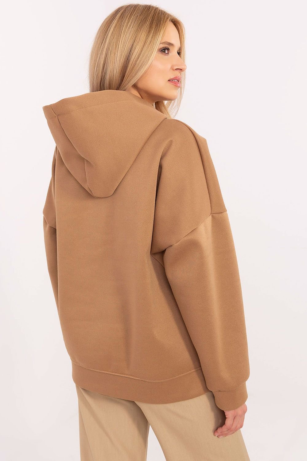 Sweatshirt model 204379