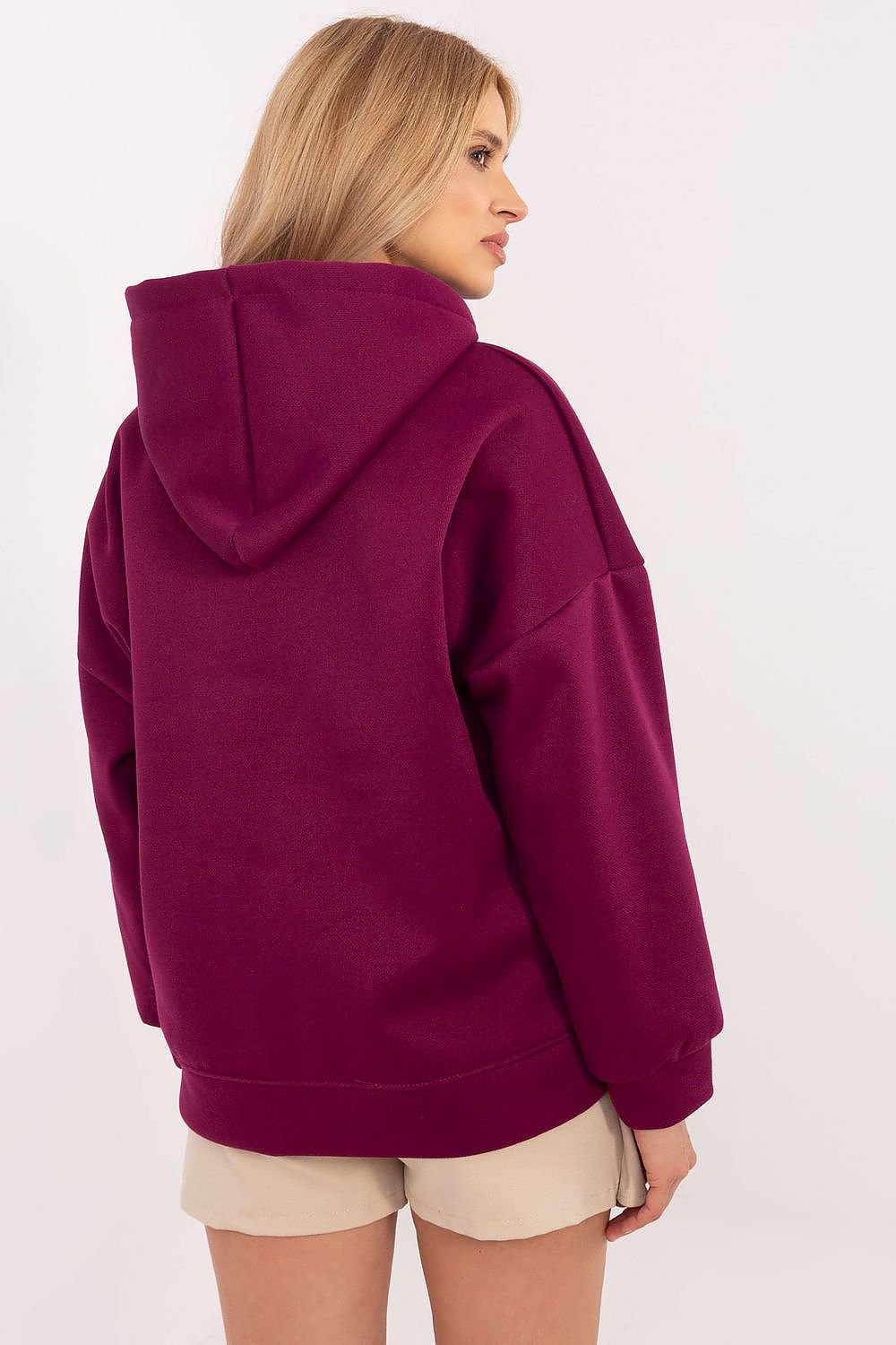 Sweatshirt model 204965