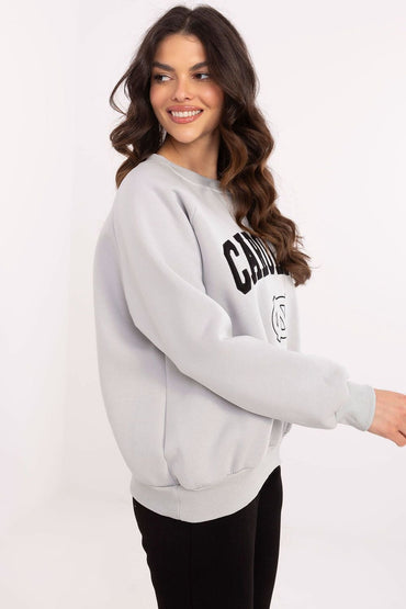 Sweatshirt model 206358