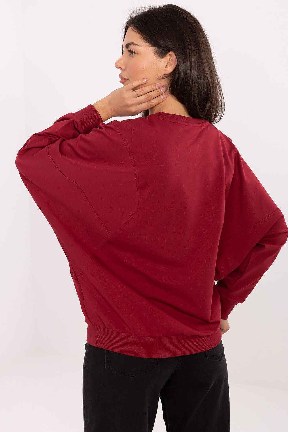 Sweatshirt model 217859