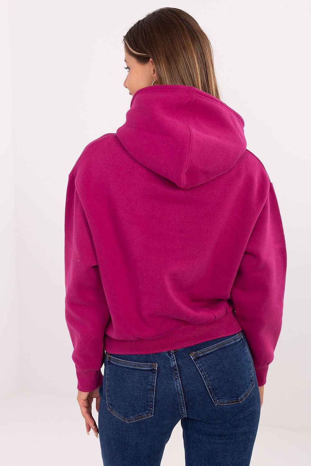 Sweatshirt model 218223