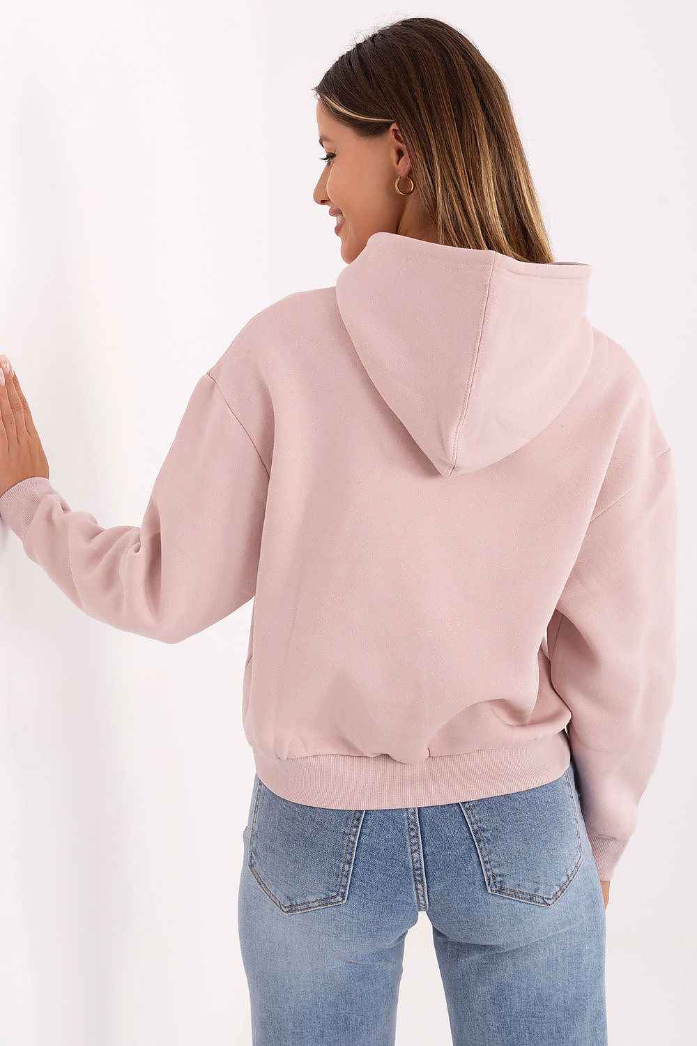 Sweatshirt model 218226
