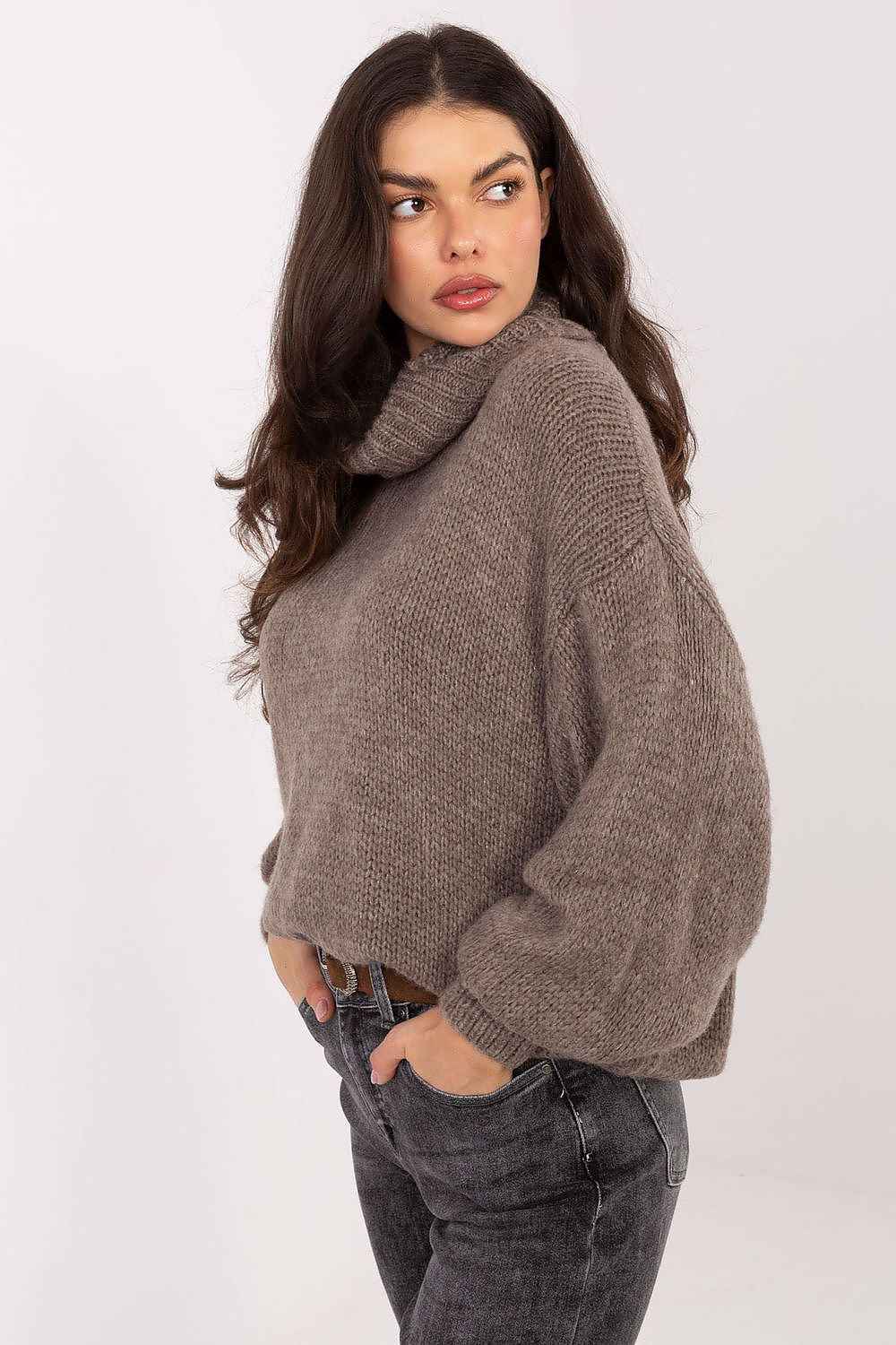 Turtleneck model 221853