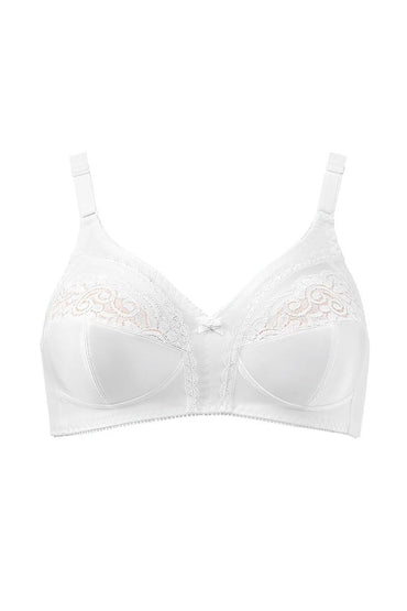 Soft model 229992 Triumph
