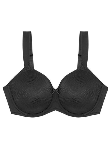Soft model 230706 Triumph