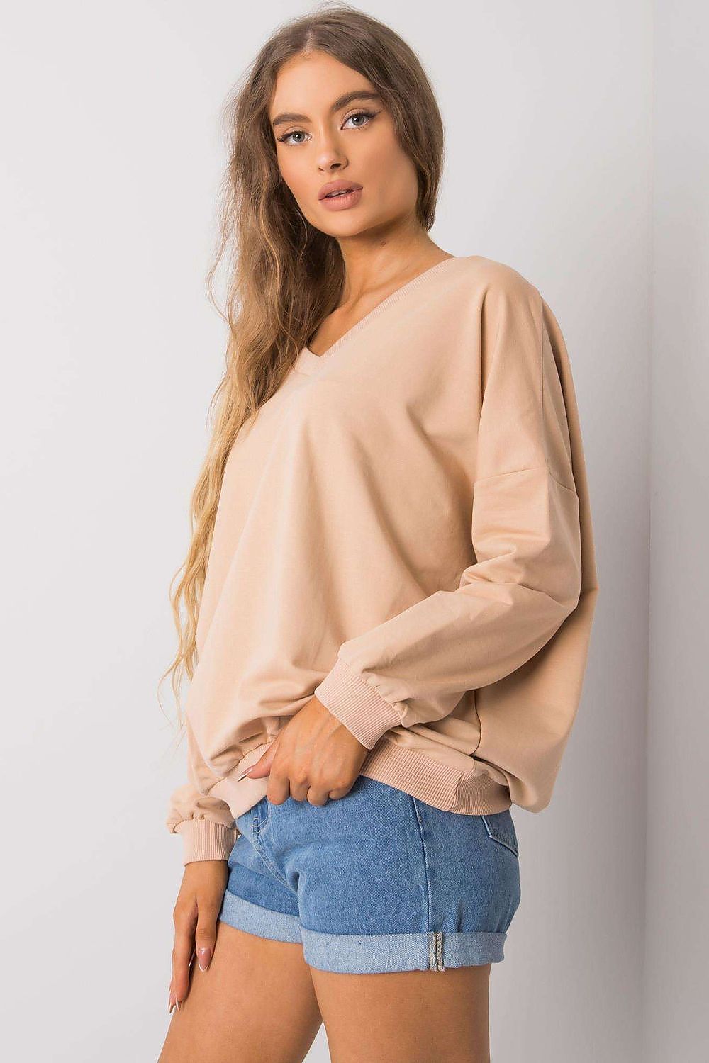 Sweatshirt model 162138